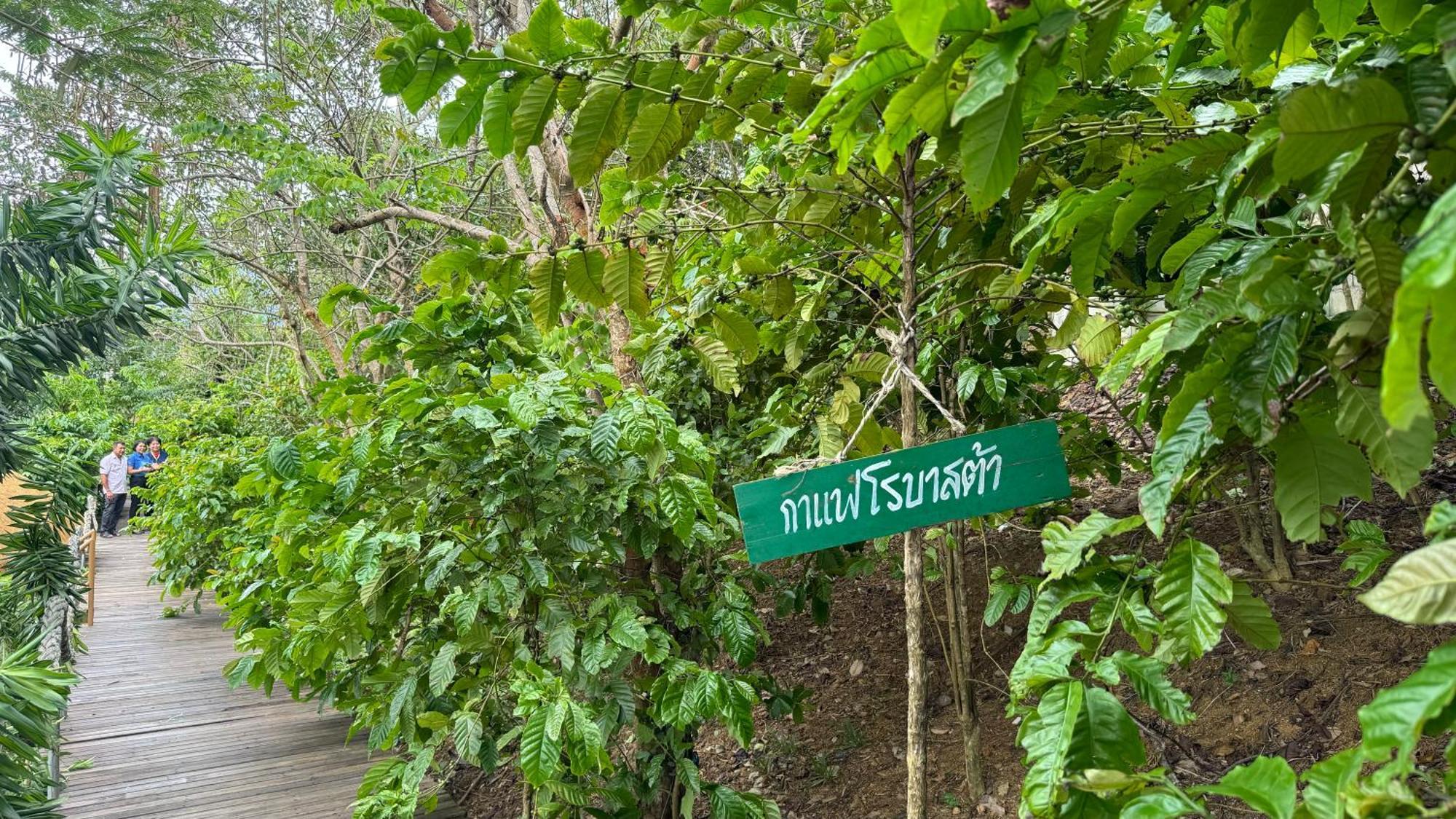 Greenheart Garden View Camp Phuket Kata Beach  Exterior photo